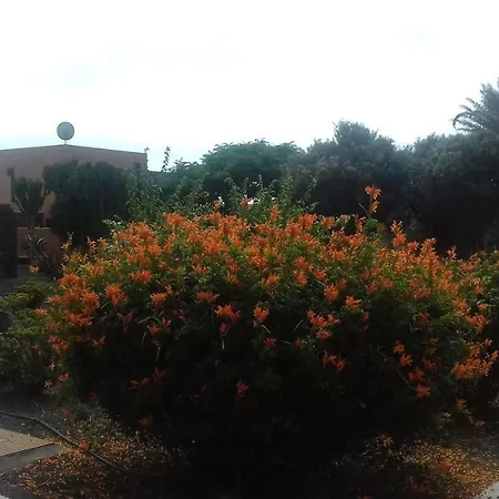 Nueva Luna Relax Corralejo